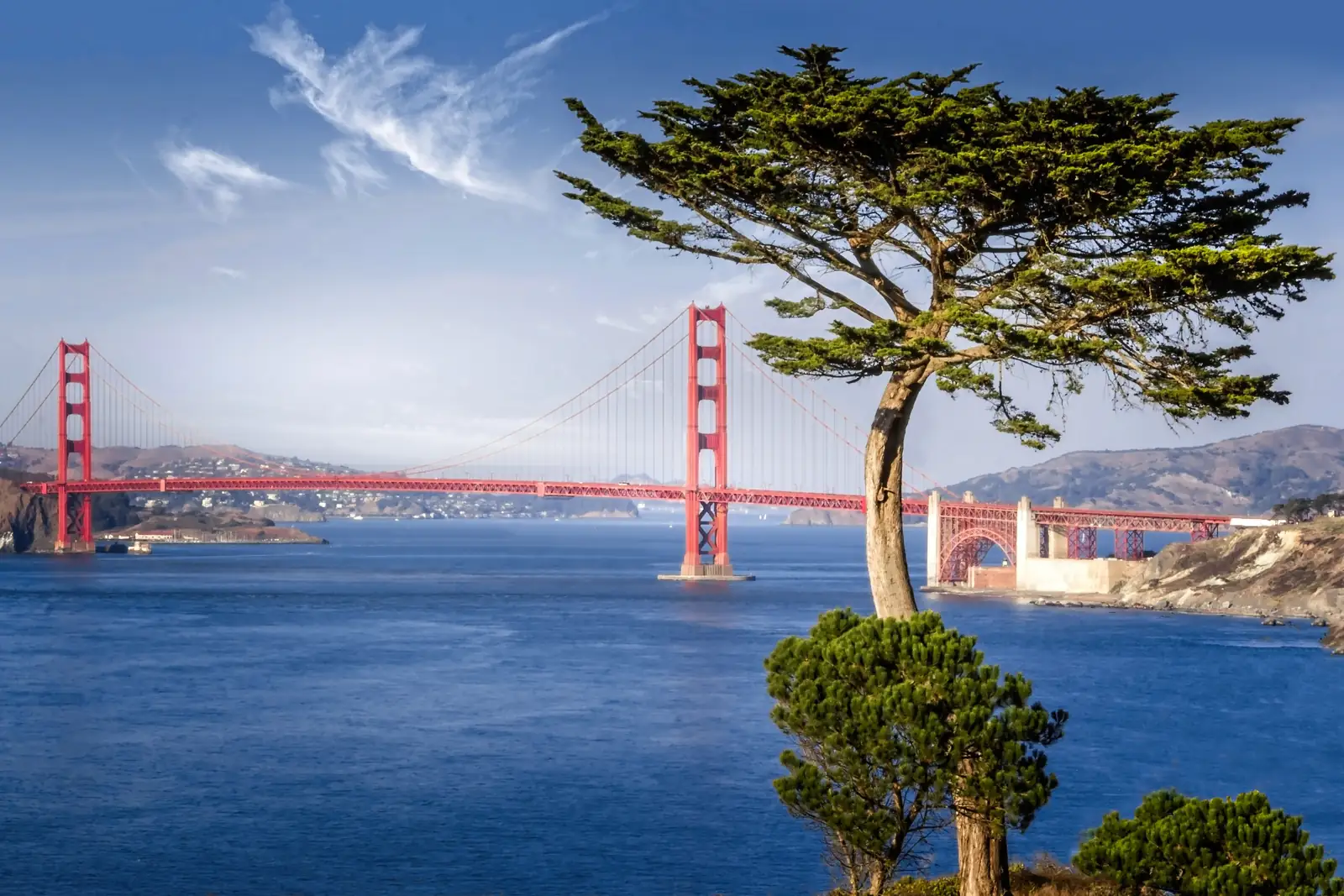 Premier Wellness — Flexible Financing