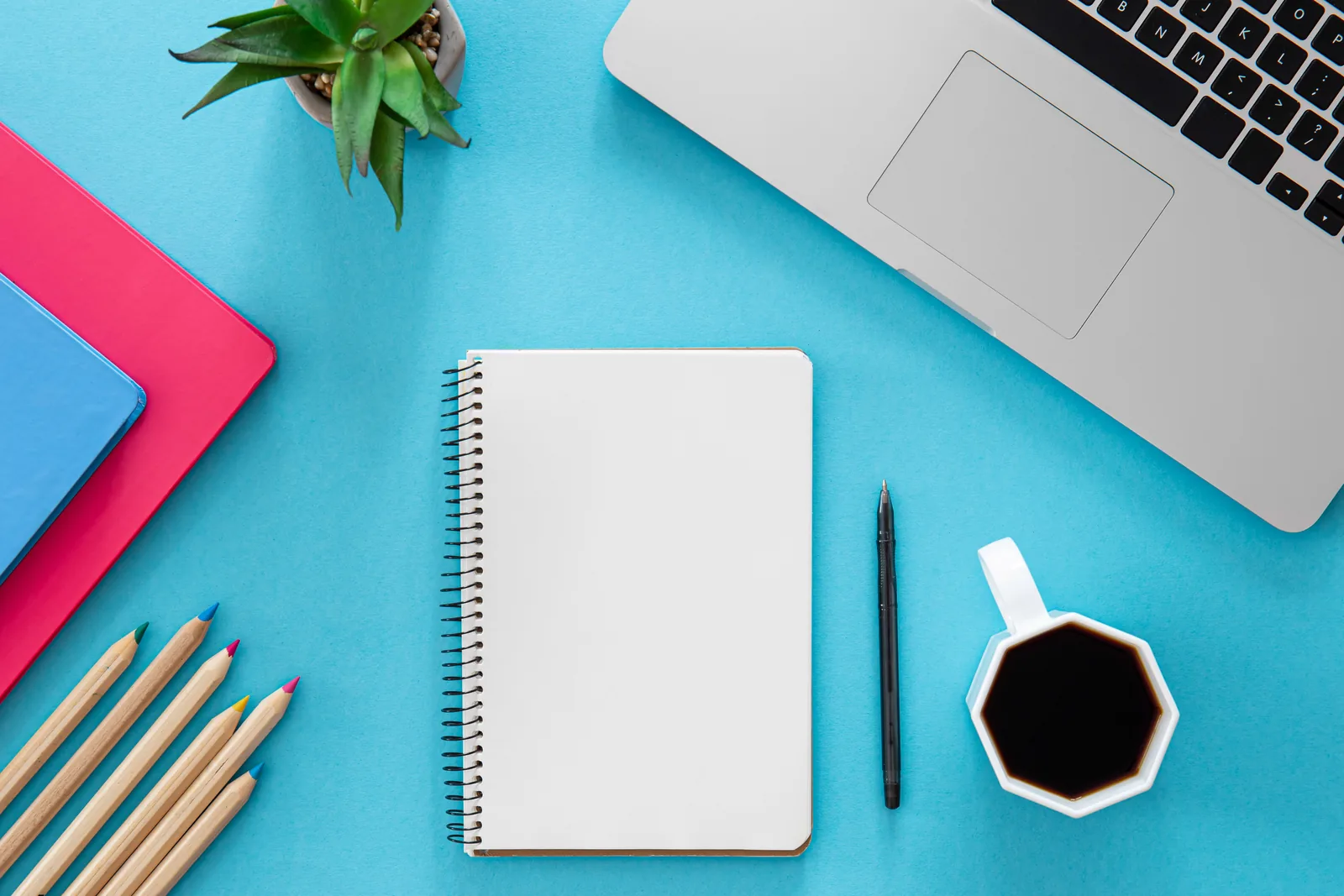 Blog & Insights